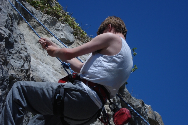 Todo enjaulado para una seguridad total 